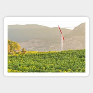 Okanagan Valley Summer Vineyard View Sticker